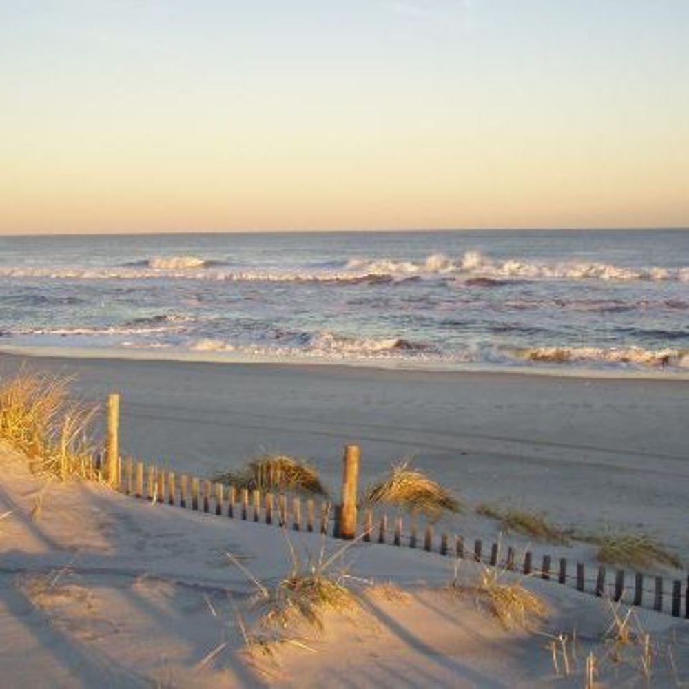 Meet your Posher, Marsha